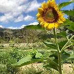 Farmház Guillo Pollença