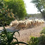 Farmház Guillo *