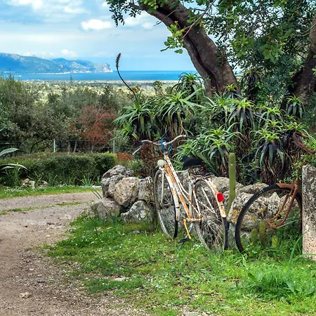 Vakantieboerderij Guillo Pollença