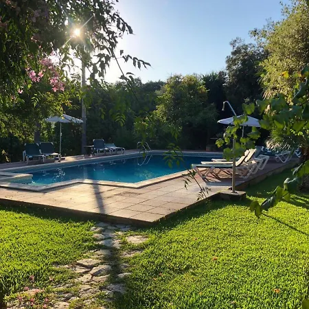 Guillo * פוינסה