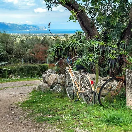 Alojamento de Turismo Rural Guillo
