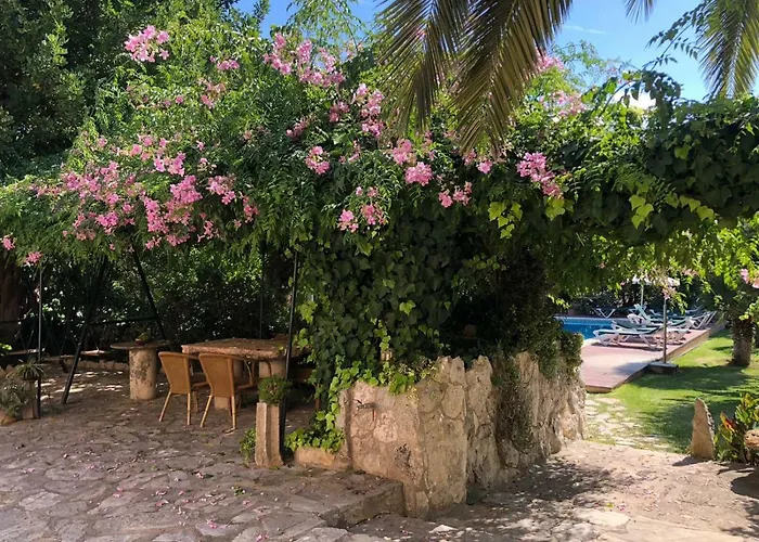 Guillo Séjour à la ferme Pollença