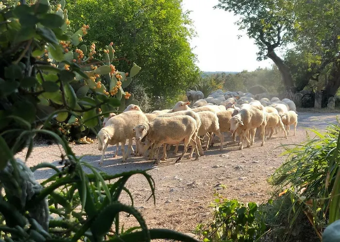 Séjour à la ferme Guillo *