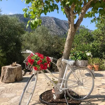 Guillo Farm stay