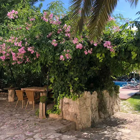 Guillo Farm stay Pollenca