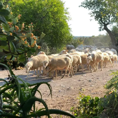 Farm stay Guillo *