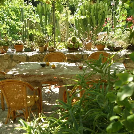 Guillo Farm stay *